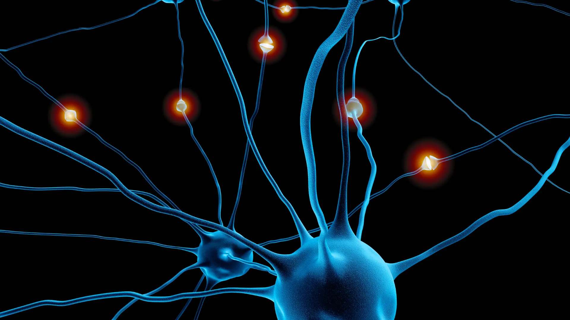 Az Agynak és Neuronoknak