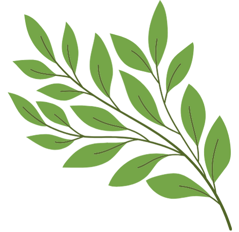 Rhodiola Rosea (Aranygyökér) 300 mg